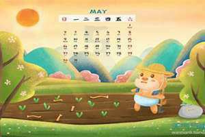 5月的节日都有哪些(5月的节日)