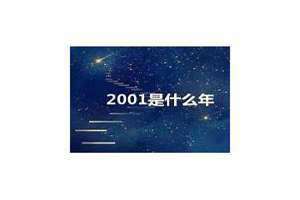 2001是什么年生肖(2001是什么年)