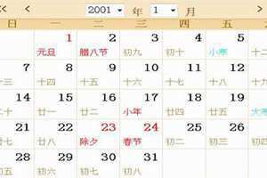 2001年农历是什么年份(2001年农历)
