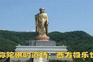 阿弥陀佛的道场在哪座山(阿弥陀佛的道场)