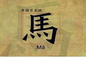 马姓由来和起源简介(马姓由来)