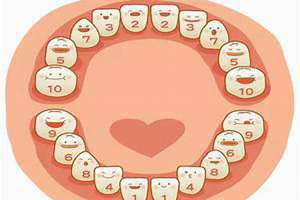 恒牙有多少颗 乳牙有多少颗会换掉