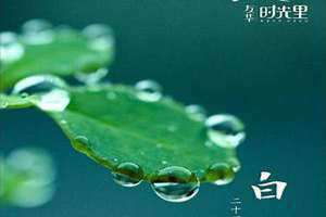 白露节气的诗句古诗(白露节气)