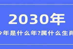 2030是什么年生肖年份(2030是什么年)