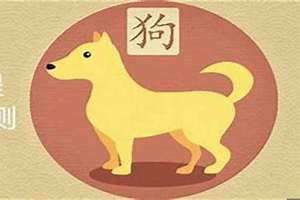属狗人今日运势神运巴巴(属狗人今日运势)