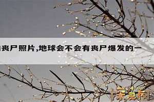 地球会不会有丧尸病毒 地球会出现丧尸病毒吗2020年