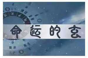 命理八字免费算命(命理)