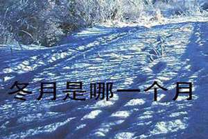 冬月是11月吗农历(冬月是11月吗)