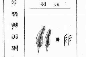 羽字取名的寓意 羽字取名女孩名字