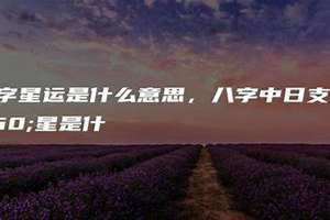 星运墓是什么意思啊 八字星运是什么意思