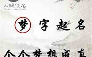 梦想起名字