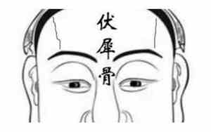 伏羲是什么面相的人物图片
