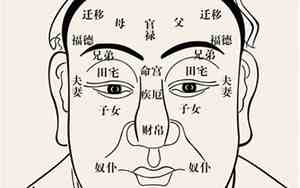 眼前的两个人