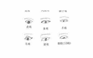 面相学眼睛看人命运准吗
