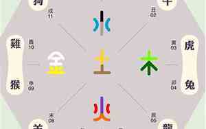 十二地支对应五行属性是什么