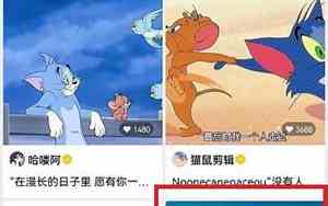 微信朋友圈动态背景图为什么不动