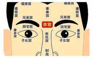 十二星座名人面相图片
