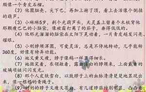 描写一个人作文写得好句子摘抄