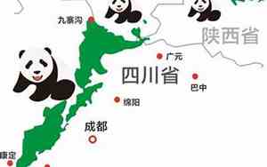 大熊猫主要分布在哪些地区