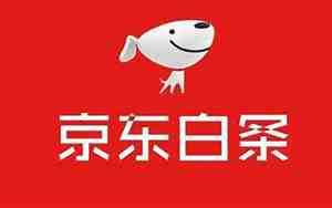 京东白条套出来手续费多少