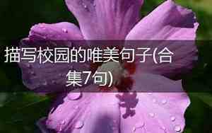 描写校园友情的感动句子有哪些
