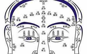 面相中哪个星座最美好命运