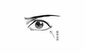古代刺客的蜂目面相