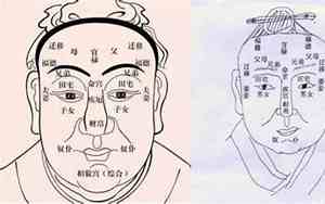 面相学中妖精长相有哪些