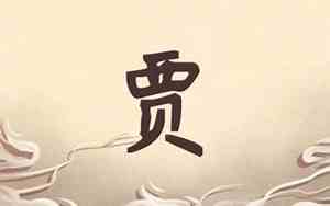 贾取名男孩名字大全
