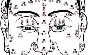 女人面相各个部位图解