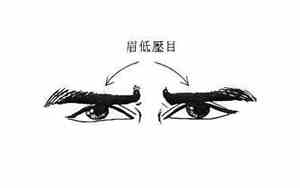眉低压目的面相