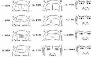 额头儿字纹是什么意思
