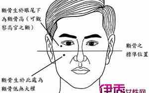 颧骨高的男人有什么说法