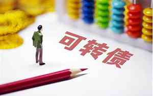 可转债申购规则 账户需要放多少钱