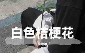 李哈哈是什么意思呀