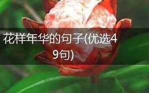 比喻美好年华的句子简短
