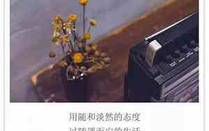 安安静静做自己就好是什么歌