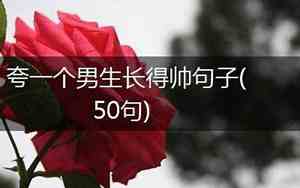 夸一个男人懂事句子简短