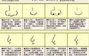 广东人鼻子太难看了