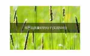 夸产品糕点好的句子怎么说