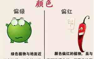 土豆是热性还是凉性蔬菜