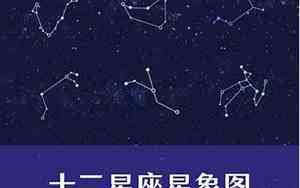 有多少星座名称分别是什么