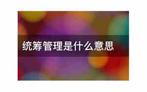 统筹安排怎么写