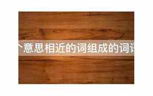双面相近的词语是什么