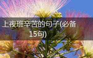 来一句夜班辛苦的句子说说