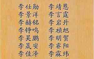 姓李的男孩取名狗鸡