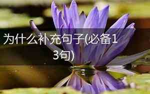 什么有用什么补充句子怎么写