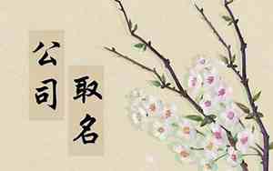 辅导班取名字简单大方