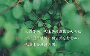 形容孤独美好的心境的词句