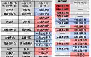 省公安厅副巡视员是什么级别